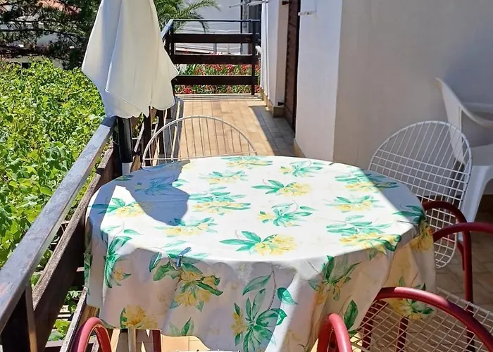 Vorkapic * Šilo